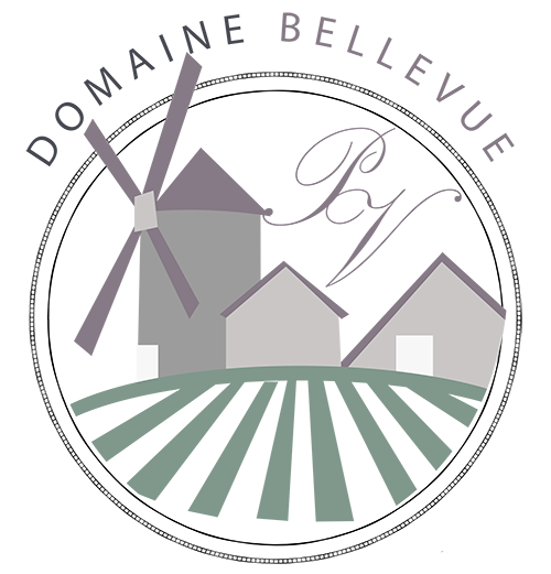 Domaine Bellevue - Patrick Vauvy